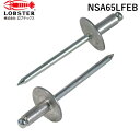 【即納在庫品】「直送」エビ NSA65LFEB ブラインドリベット・ラージフランジ エコBOX アルミ/スティール 6−5 100本入 ロブテックス エコBOX LOBSTER Lobtex(4)