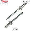 【即納在庫品】「直送」ロブテックス LOBSTER NSS 5-4 ブラインドリベット ステンレス/スティール製 5−4 1000本入 箱入 NSS54 ブラインドブラインドリベット ステンレス/スティール製 5−4 1000本入 箱入 エビ スティール ステンレス NSS5-4 箱入 tr-1259458(4)