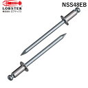 【即納在庫品】「直送」エビ NSS48EB ブラインドリベット ステンレス/スティール製 4−8 300本入 エコBOX ロブテックス LOBSTE...