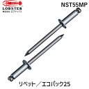 【即納在庫品】「直送」ロブテックス NST55MP ブラインドリベット ステンレス/ステンレス製 5−5 25本入 エコパック ブラインドリベット エビ ステンレス エコパック入り(4)