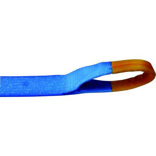 【特長】●高強力ポリエステル糸を使用していますので耐候性・耐久性に優れています。●破断強度がひとめで分かるブラックライン入りです。【用途】●輸送時の荷崩れ防止。【仕様】●最大使用荷重(t)：2.5●ベルト長さ(m)巻取側：7●ベルト長さ(m)固定側：1●ベルト寸法(mm)幅×厚さ：75×4.7●色：ブルー●全長(m)：8【仕様2】●アイタイプ●カムバックル式●破断強度(kN)：100【材質／仕上】●ベルト：高強力ポリエステル糸●ラチェットバックル：スチール【注意】●玉掛け作業には絶対使用しないで下さい。【原産国】日本補足商品ワード：測定器・工具のイーデンキ edenki　Belt　吊りクランプ・スリング・荷締機　荷締機　Huggers　工事用品　Load　type　ベルト荷締機類似商品はこちらTESAC R10E010030A ラッシング2,674円TESAC R50E010050A ラッシング10,001円TESAC R30E010050A ラッシング6,790円TESAC R05E010030A ラッシング2,363円TESAC R20E010030A ラッシング5,286円TESAC R100KAF010-AF070A27,085円TESAC C01E010-010A ラッシン760円TESAC R100N080-000A ラッシ21,960円TESAC R30KAD010AD050A ラ7,793円TESAC R10KAB010AB030A ラ3,253円TESAC R50KAE010AE050A ラ11,251円TESAC R30KJB010JB050A ラ7,416円