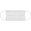 【即納在庫品】「直送」IRIS PN-DNI30L 291097 デイリーフィットマスク ナノエアーフィルタープラス ふつう 30枚入 白 PNDNI30L