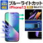 ֡2600OFFiPhone 13 饹ե iphone13 mini pro max ֥롼饤ȥå ݸե 饹ե iPhone13 ե վݸե 13promax | ե13 եե ۥ13 ֥롼饤 ޥۥե ӥեפ򸫤