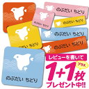 1000円ポッキリ おなまえシール 防水 名前シール お名前シール 耐水 耐熱 ネームシール ノンアイロン アイロン不要 小学校 レンジ シール なまえシール ...
