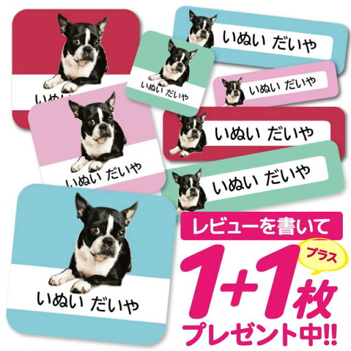 1000円ポッキリ おなまえシール 防水 名前シール お名前シール 耐水 耐熱 ネームシール ノンアイロン アイロン不要 小学校 レンジ シール なまえシール タグ 算数セット お名前 保育園 幼稚園 入園 入学 介護 ネーム 漢字 食洗機 大人 39 1000円ポッキリ おなまえシール 防水 名前シール お名前シール 耐水 耐熱 ネームシール ノンアイロン アイロン不要 小学校 レンジ シール なまえシール タグ 算数セット お名前 保育園 幼稚園 入園 入学 介護 ネーム 漢字 食洗機 大人 39