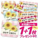 1000円ポッキリ おなまえシール 防水 名前シール お名前シール 耐水 耐熱 ネームシール ノンアイロン アイロン不要 小学校 レンジ シール なまえシール ...