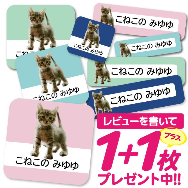 1000円ポッキリ おなまえシール 防水 名前シール お名前シール 耐水 耐熱 ネームシール ノンアイロン アイロン不要 小学校 レンジ シール なまえシール ...