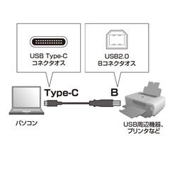 サンワサプライ USB2．0 Type C-Bケーブル(2m) ブラック KU-CB20 [KUCB20]【MMPT】