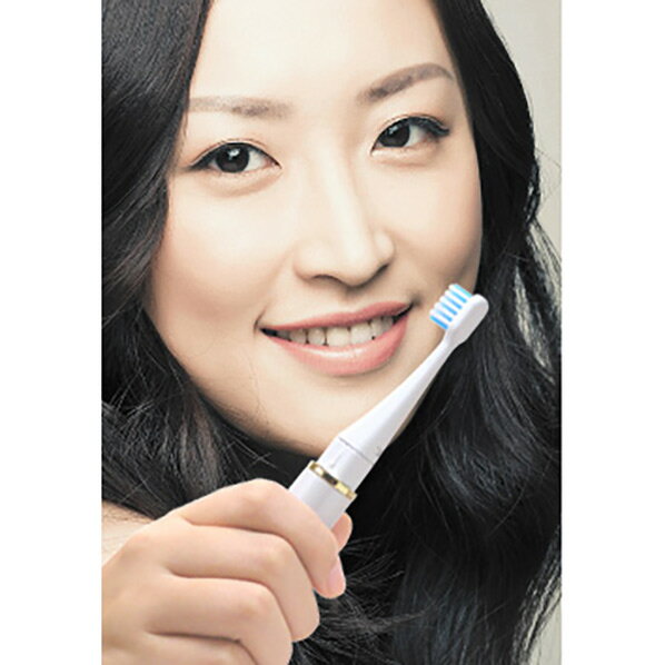 ロゼンスター マイナスイオン音波振動歯ブラシ専用替え歯ブラシ ブルー BW-100B [BW100B]【THNK】