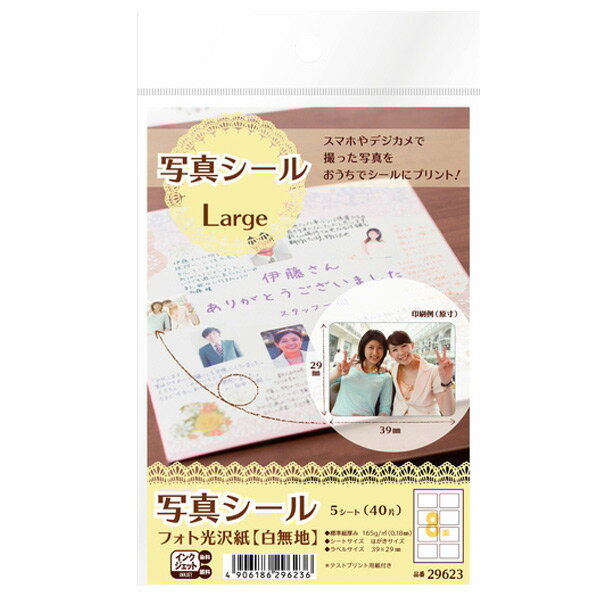  ̿ եȸ(̵) Large 5(40) 29623 [29623]JMSP