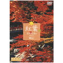 シンフォレスト 紅葉 名所絶景を訪ねて/映像遺産・ジャパント...