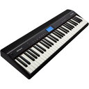 ローランド 電子キーボード GO:PIANO ブラック GO-61P [GO61P]