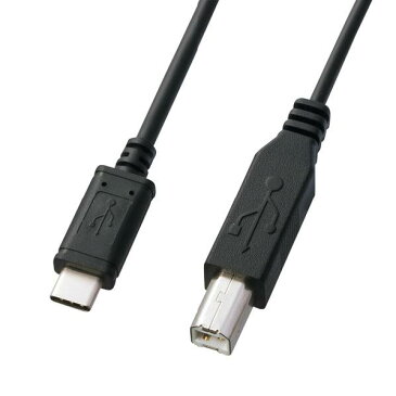 サンワサプライ USB2．0 Type C-Bケーブル(2m) ブラック KU-CB20 [KUCB20]【MMPT】