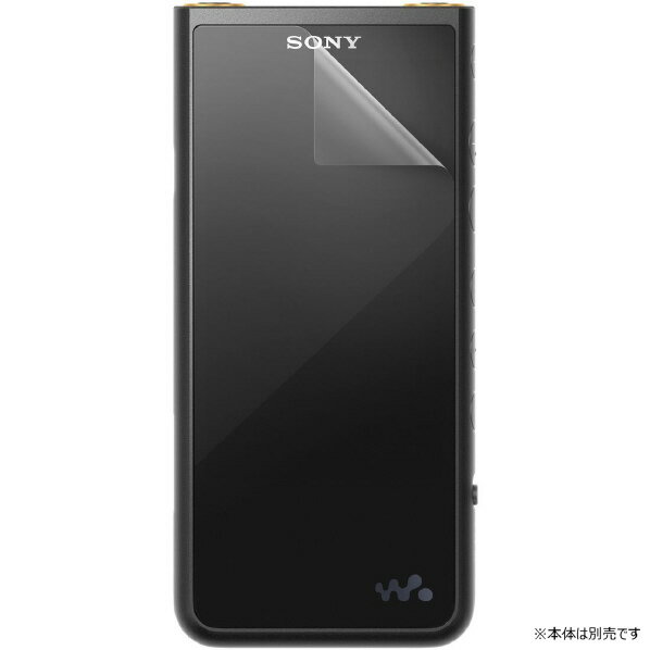 SONY NW-ZX500V[YptیtB PRF-NWZX500 [PRFNWZX500]