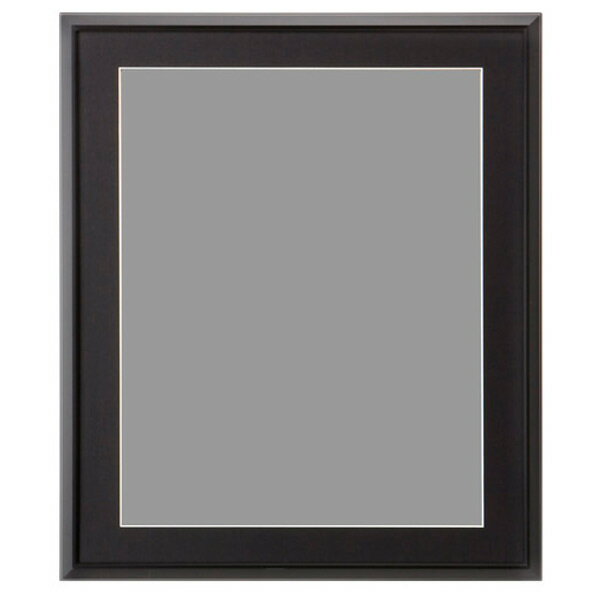 ハクバ アルミ額縁 半切 ブラック FAG2-BKH [FAG2BKH]【JYMP】