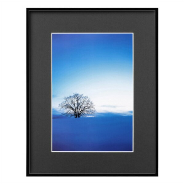 ハクバ ZEROフレーム(A4) ブラック FZG01-A4BK [FZG01A4BK]