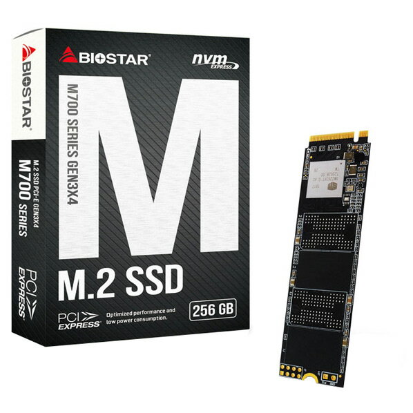 BIOSTAR SSD(256GB) M700シリーズ M700-256GB [M700256GB]