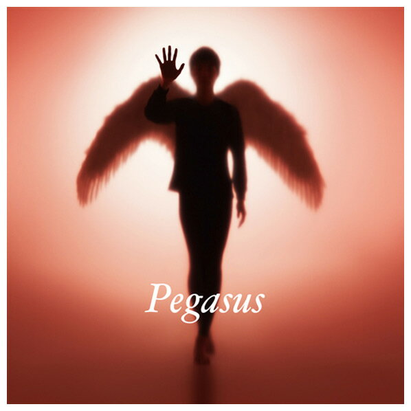 ユニバーサルミュージック 布袋寅泰 / Pegasus [初回生産限定盤] 【CD】 TYCT-39157 [TYCT39157]