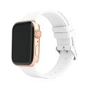 VPG Apple WatchpVRoh 38-41mm zCg AW-SIF01WH [AWSIF01WH]yMYMPz