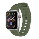 DOOSSY Apple WatchpVRoh 42-45mm O[ AW-SIN02GR [AWSIN02GR]