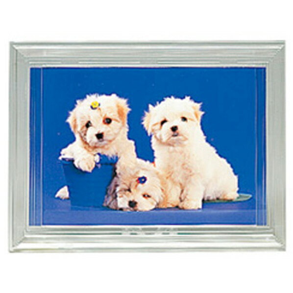 �ե����顼���� L���顼�ե졼�� ���ꥢ �ե�-��LCL [�ե�-��LCL]