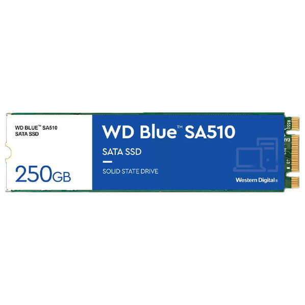 Western Digital M．2 2280 SATA 内蔵SSD(250GB) WD Blue SA510 WDS250G3B0B [WDS250G3B0B]【MAAP】