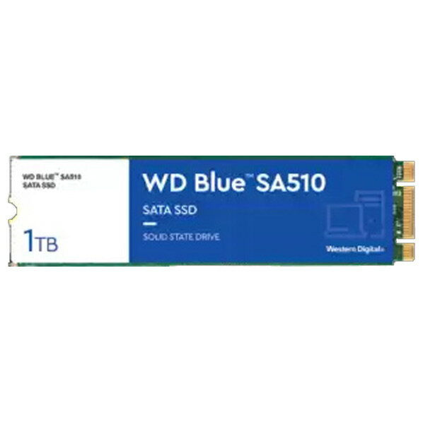 Western Digital M．2 2280 SATA 内蔵SSD(1TB) WD Blue SA510 WDS100T3B0B [WDS100T3B0B]【MAAP】