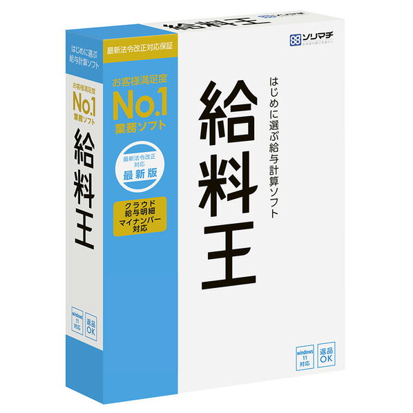 給料王22 最新法令改正対応版(対応OS:WIN) メーカー品