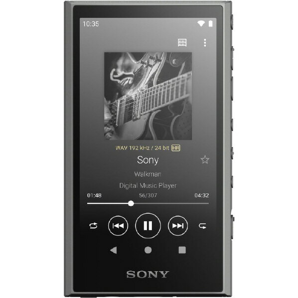 SONY デジタルオーディオ(32GB) ウォークマン グレー NW-A306 H [NWA306H]【RNH】