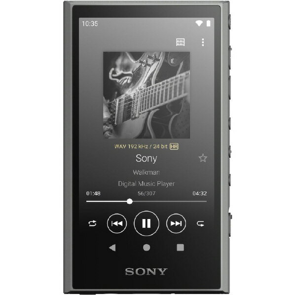 SONY ǥ륪ǥ(64GB) ޥ 졼 NW-A307 H [NWA307H]RNH