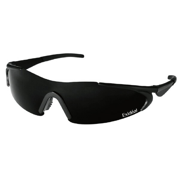 ハスラック ドゥ専用ゴーグル エクスイディアル EX-HA02-G01 [EXHA02G01]