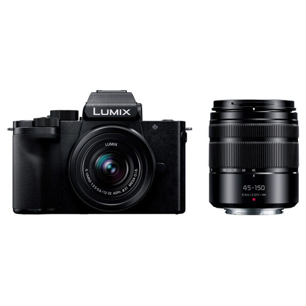 パナソニック パナソニック デジタル一眼カメラ・ダブルレンズキット LUMIX ブラック DC-G100DW-K [DCG100DWK]【RNH】