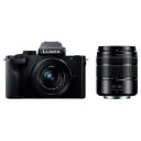 パナソニック パナソニック デジタル一眼カメラ・ダブルレンズキット LUMIX ブラック DC-G100DW-K [DCG100DWK]【RNH】