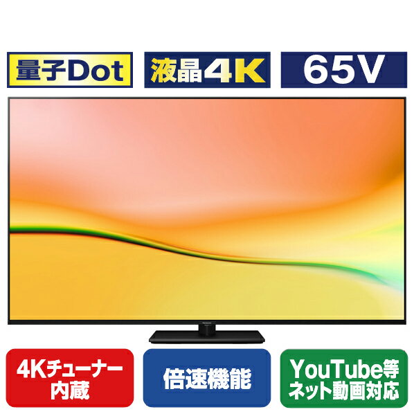 ѥʥ˥å 65V4Kбվƥ VIERA TV-65W95A [TV65W95A](65/65)RNH