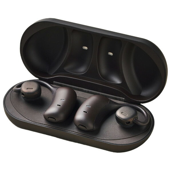 NTTソノリティ イヤフォン nwm MBE001 ダークブラウン MBE001BA [MBE001BA]【RDKS】のサムネイル