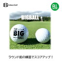 BIGBALL　数量限定再入荷！