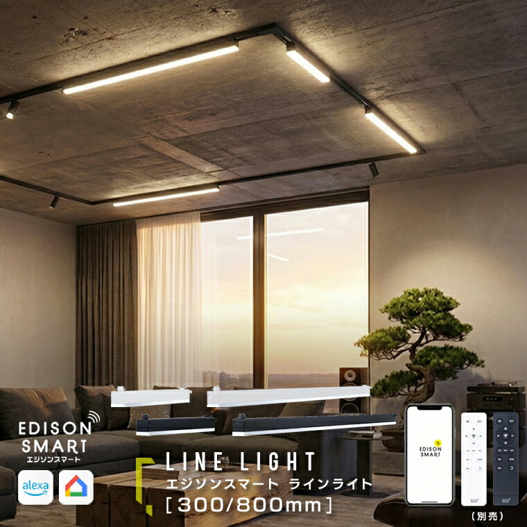 ダクトレール照明 エジソンスマート ラインライト 300mm / 800mm ライン照明 長い 細長い LED 照明器具..