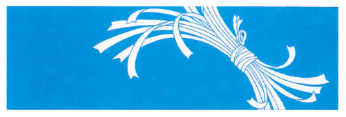 本染踊りてぬぐい　のし