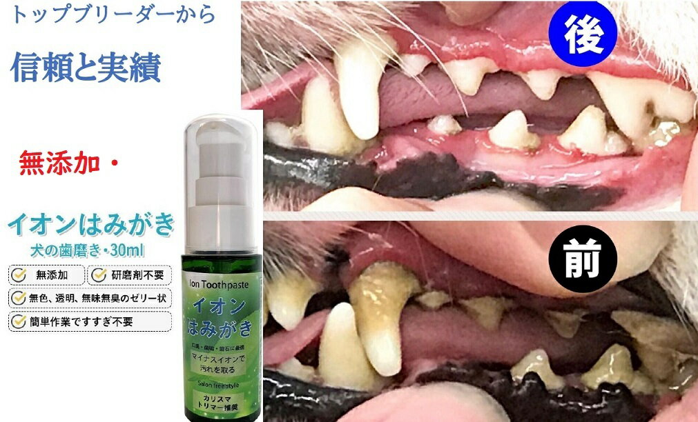 簡単作業塗るだけで犬いやがらない お気に入りの イオン犬はみがき３０ｍｌ デンタルケア 口臭 無添加 汚れ 除去 歯石