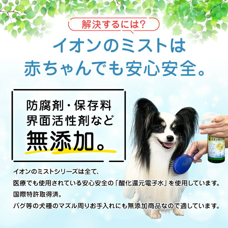 最大93 Offクーポン 2本お得なセット イオン 犬 はみがき 2個ゼオ付きセット 犬デンタルケア売れ筋ランキング1位 Transparencia Crisolita Mg Gov Br 最大93 Offクーポン 2本お得なセット イオン 犬 はみがき 2個ゼオ付きセット 犬デンタルケア売れ筋ランキング1位 Transparencia Crisolita Mg Gov Br