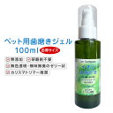 【送料込】 ジェクス チュチュベビー L8020乳酸菌 薬用ハミガキジェル いちご風味 50g 1個