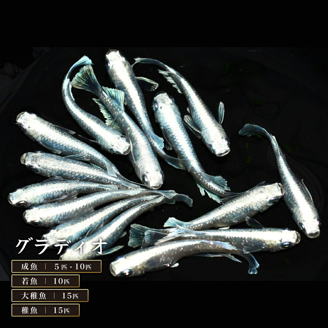 商品画像1