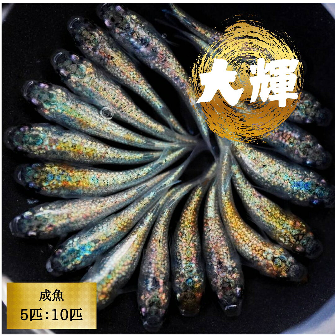 商品画像3