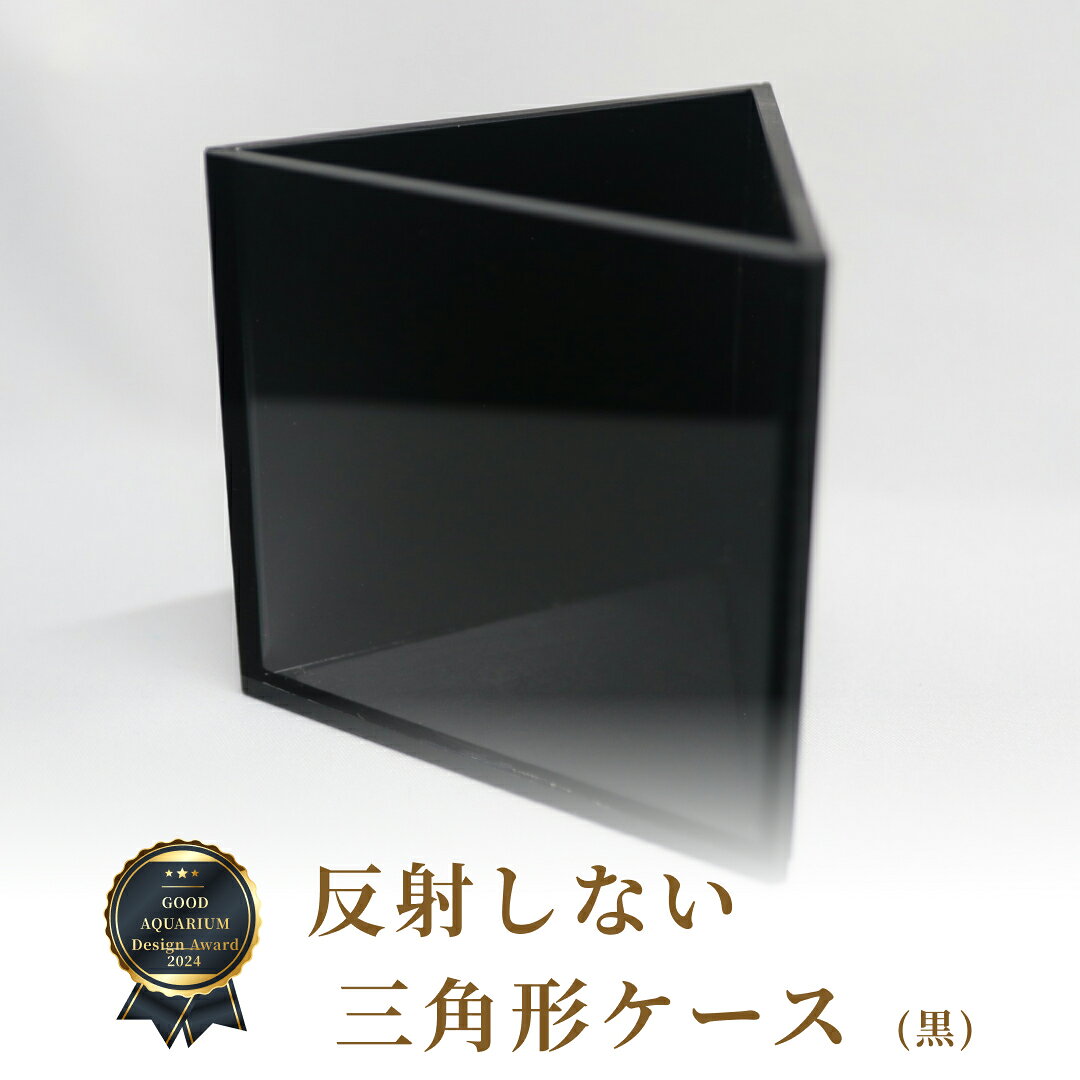 imgrc0102971013.jpg