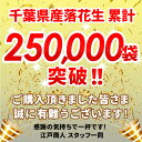 GW突入祭 37％OFF＆最大42％OFFクーポン 千葉県やちまた産 からつき落花生豆 高級感あるクラフト袋入 中手豊品種 120g×1袋 ナッツ 全国送料無料 酒のつまみ キャンプ 新生活 入学 入社 母の日 3