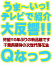 GW突入祭 37％OFF＆最大42％OFFクーポン 煎りたて落花生 テレビ紹介大反響 大変希少 累計販売数250,000袋突破 Qなっつ 千葉県やちまた産 高級感あるクラフト袋入り 落花生 殻付き 100g×2袋 送料無料 青空レストラン 新生活 入学 入社 母の日 3