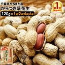 【大還元クーポンあり】 千葉県やちまた産 からつき落花生 中手豊 120g ナッツ ピーナッツ おつまみ お取り寄せ プレゼント お持たせ お土産 ランキング1...