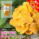 【クーポン利用で60%OFF】訳あり端材 ドライマンゴー タイ産 ドライフルーツ マンゴー 果肉 果物 種無し 保存食 送料無料 おやつ 酒の肴 おつまみ お取り寄せ 酒のつまみ