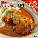 GW爆得祭 最大55％OFFクーポン 大感謝250,000食完売御礼 全国送料無料 100％国産牛すじ＆たまねぎ使用 牛すじ肉カレー210g 中辛 3パック 牛筋カレー 本格派 レトルト食品 非常食 保存食 酒のつまみ 新生活 入学 入社 母の日