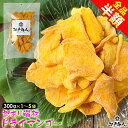全品半額 訳あり端材 ドライマンゴー タイ産 ドライフルーツ マンゴー 果肉 果物 種無し 送料無料 おやつ 酒の肴 おつまみ お取り寄せ 酒のつまみ 非常食 保存食 敬老の日 行楽 手土産 土産